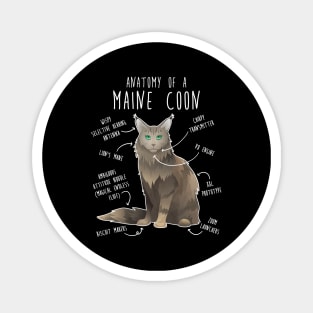 Maine Coon Cat Anatomy Magnet